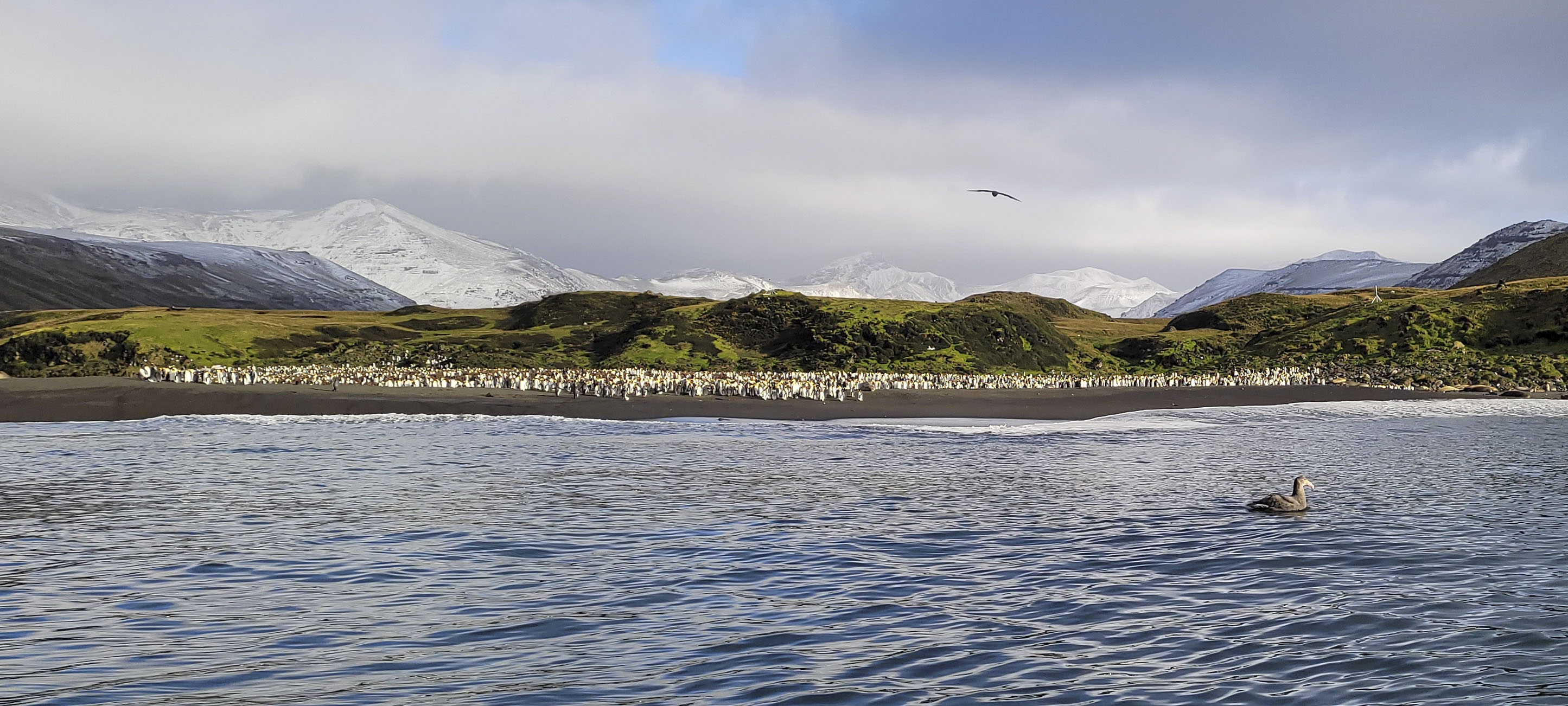 GYT 20220701 111704 20220701 111704